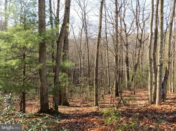 12 & 14A Cedcarwood, Mathias, WV 26812