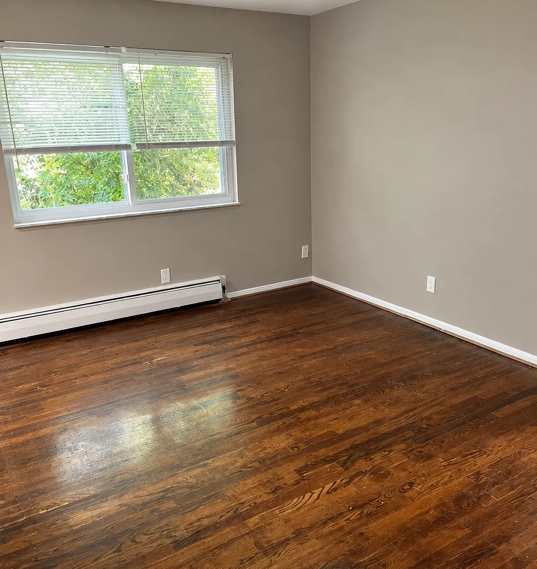 1 bed, $925 — Photo 2