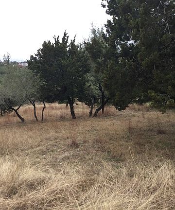 4th image of 802 Silent Holw