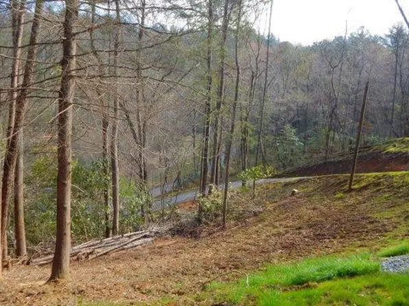 675 Ed Graves Rd, Murphy, NC 28906