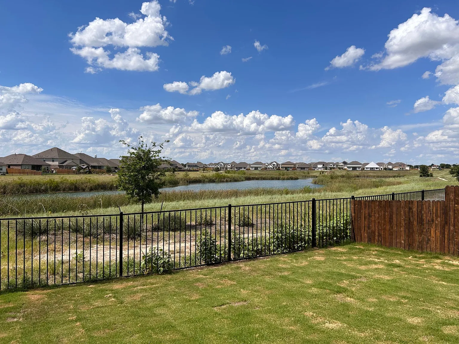 6 bed, 2762 sqft, $3,300 — Photo 2