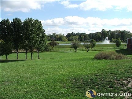 Pond View from house