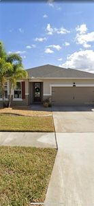13111 SATIN LILY DRIVE, Riverview, FL, 33579