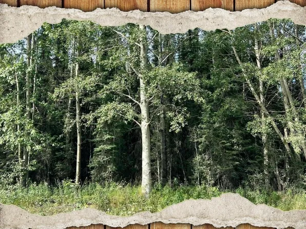 34380 Browns Lake Rd, Soldotna, AK 99669