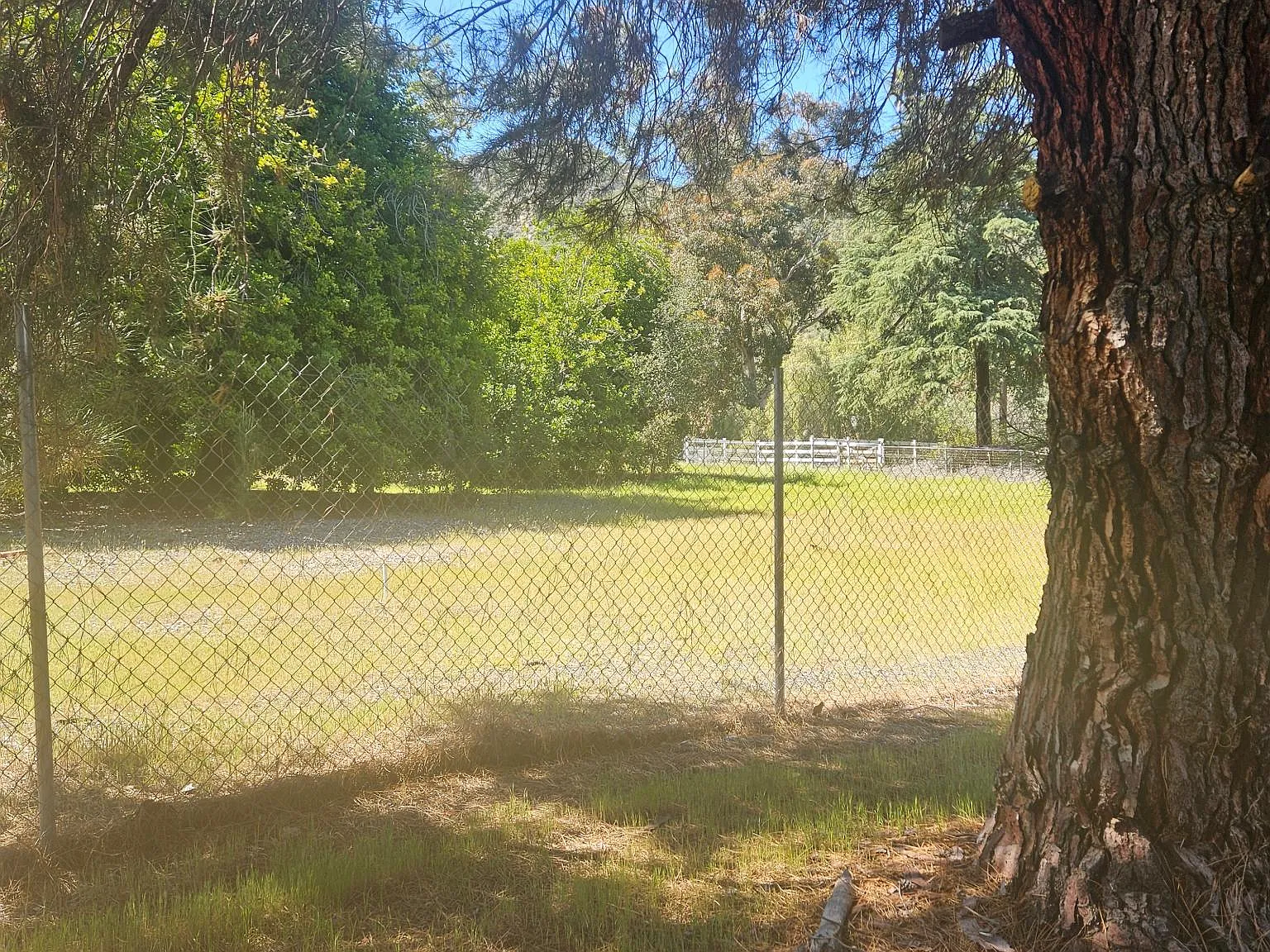 33355 Macy St — Photo 3