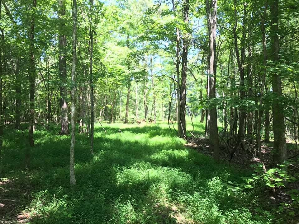 2nd image of 00 Hwy 215