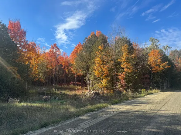 LOT 2 Vansickle Rd N, Havelock Belmont Methuen, ON K0L 1Z0