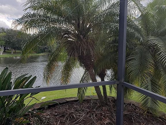 5th image of 14661 Lone Eagle Dr