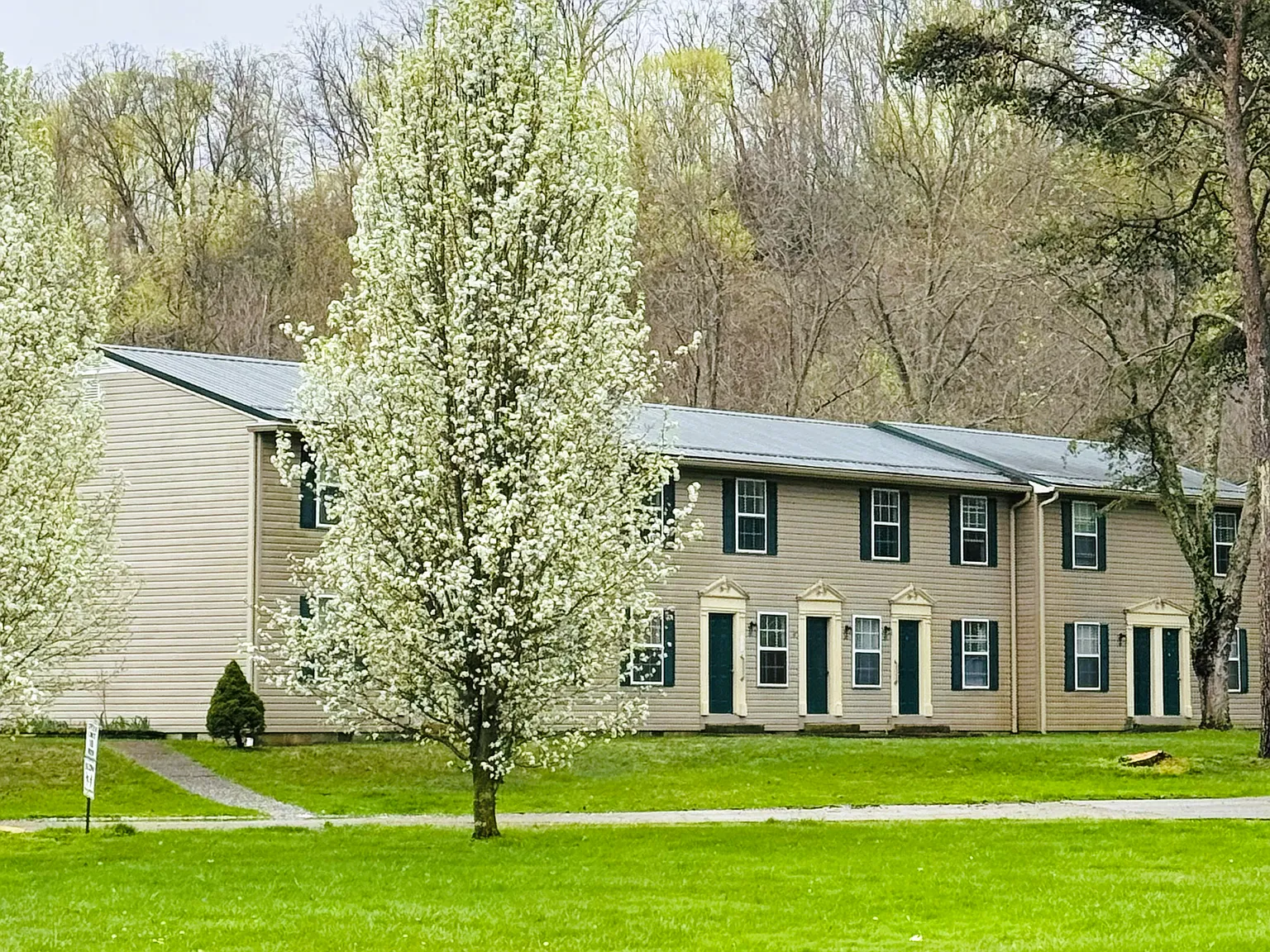 Stoney Creek — Photo 1