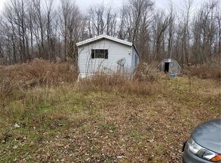 6363 County Line Rd, Red Creek, NY 13143