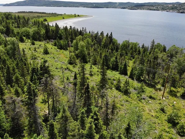 0 RANDOM BROOK Road, Random Island, NL A5A