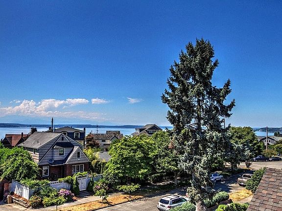 View of the Olympic Mountains and Puget Sound from roof deck
