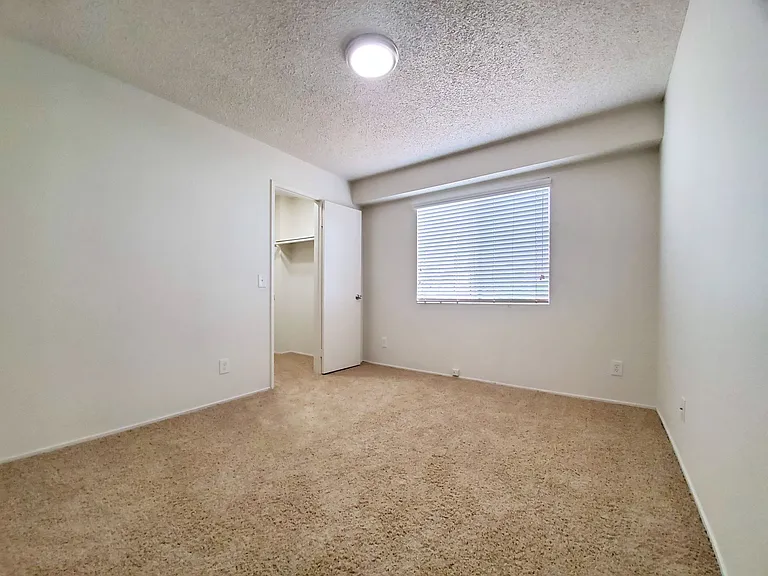 Shannonwoods Townhomes! — Photo 33