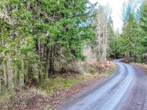 39838 Mountain Park Drive E, Roy, WA 98580