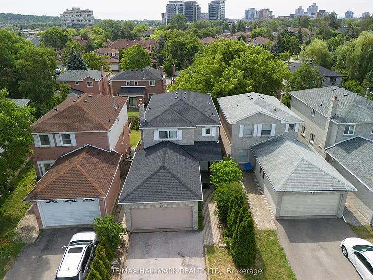15 Bingham St — Photo 28
