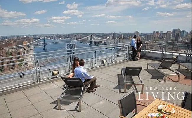 Rented by NY Living Solutions | media 10