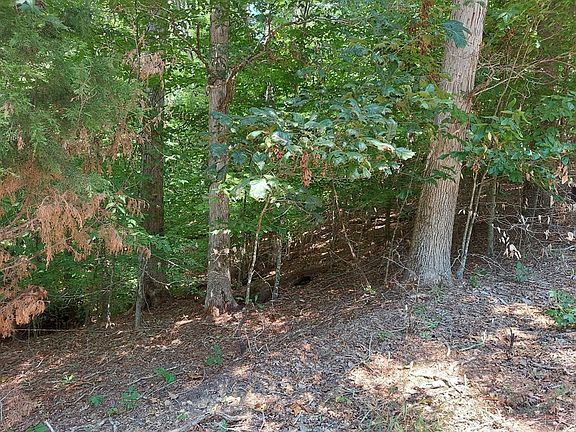 2nd image of LOT 876 Stoneway Pl