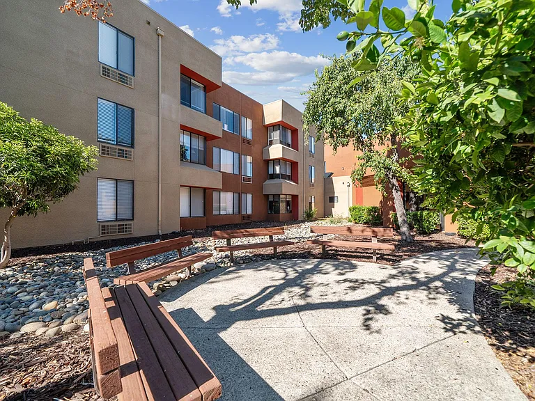 Redwood Senior — Photo 39