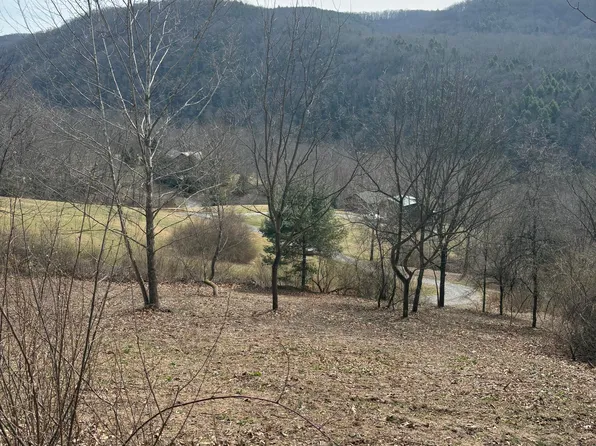 Hillside Bluffs Ln, Buckeye, WV 24924