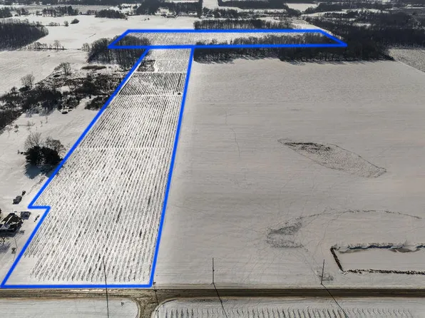 V/l E Lemon Creek Rd, Berrien Springs, MI 49103