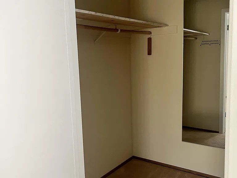 Master walk in closet