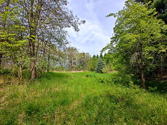 5th image of Tipsico Lake Rd Parcel B
