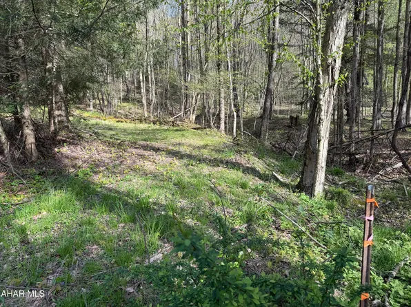 Bracken St, Johnstown, PA 15909