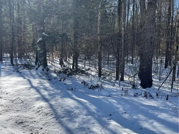 Lot 13 Tyler Road, Cochecton, NY 12726