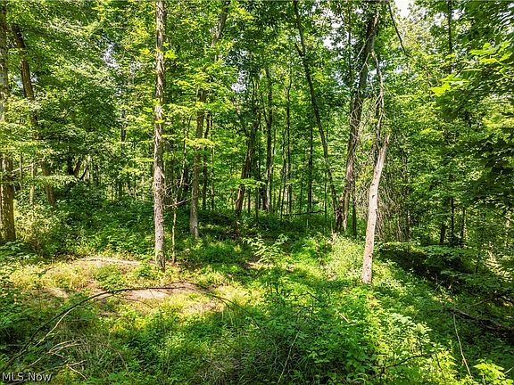 3rd image of 9 Township Road 51 NE