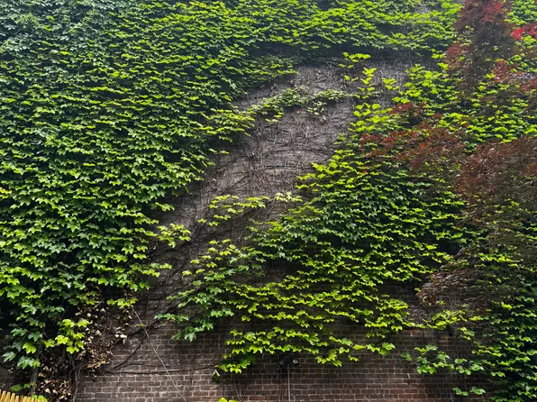 269 Alexander Avenue image 12 of 39