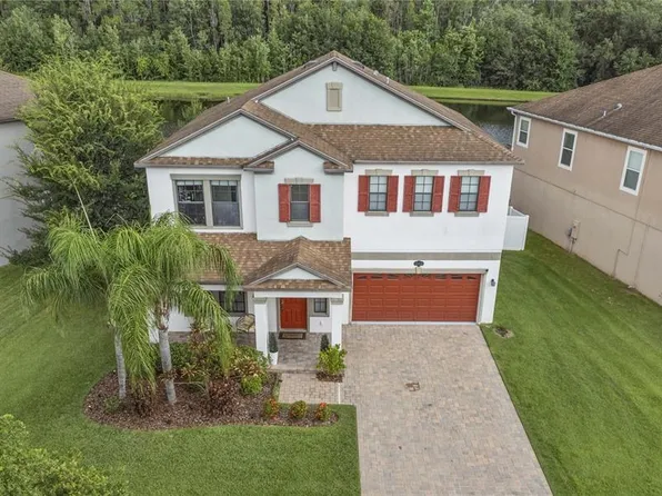 19418 Paddock View Dr, Tampa, FL 33647