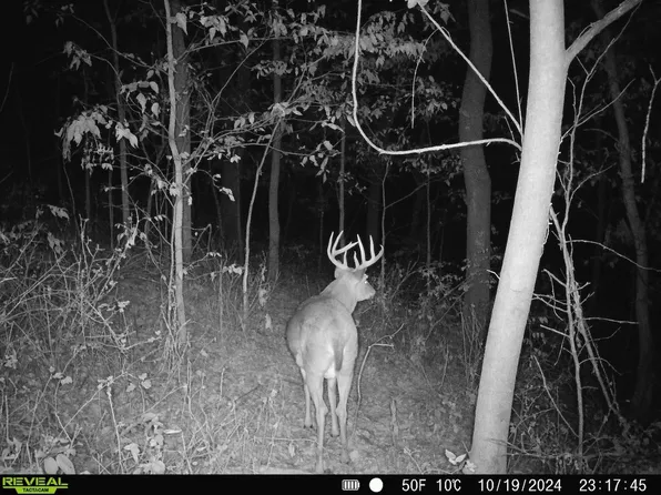 Clark Rd, Browntown, WI 53522