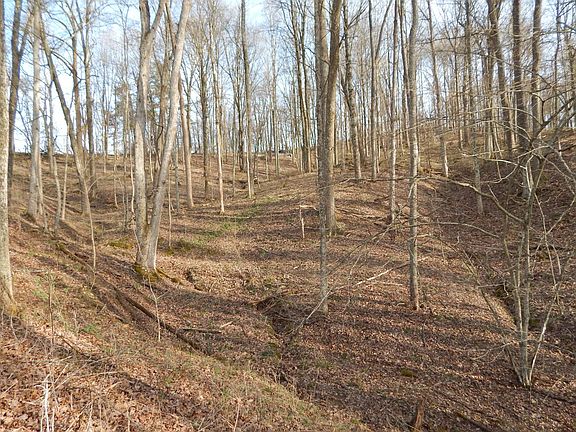 5th image of 0 Burton Run Rd