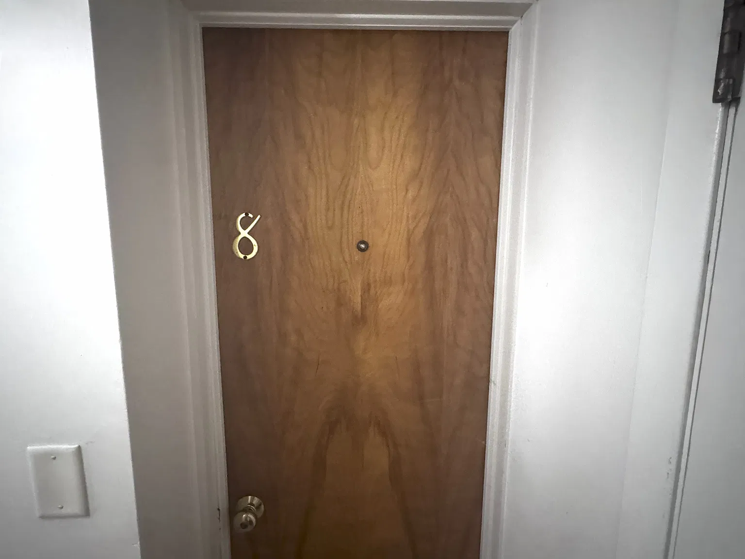 Studio, 847 sqft, $725 — Photo 2