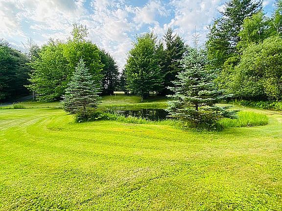 Part of the front lawn