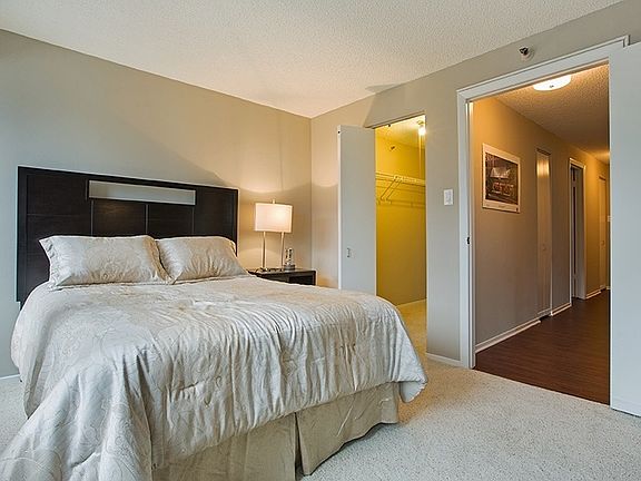 Spacious Walk - In Closets