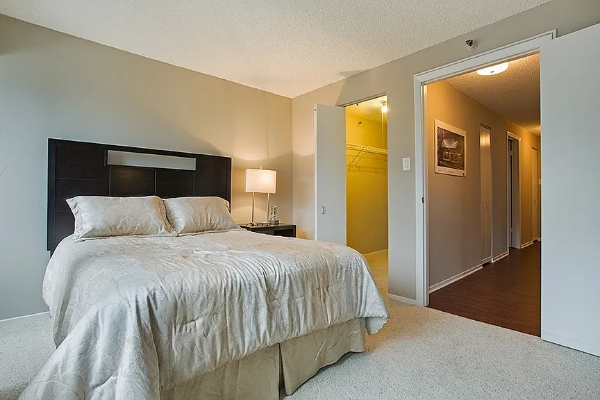 Spacious Walk - In Closets