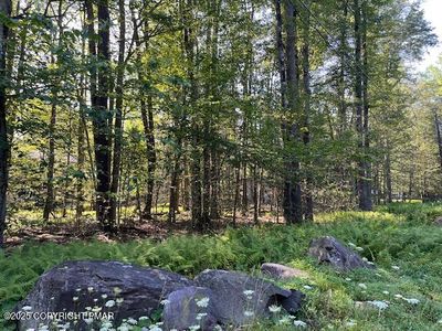 1175 Gross Dr, Pocono Pines, PA, 18350