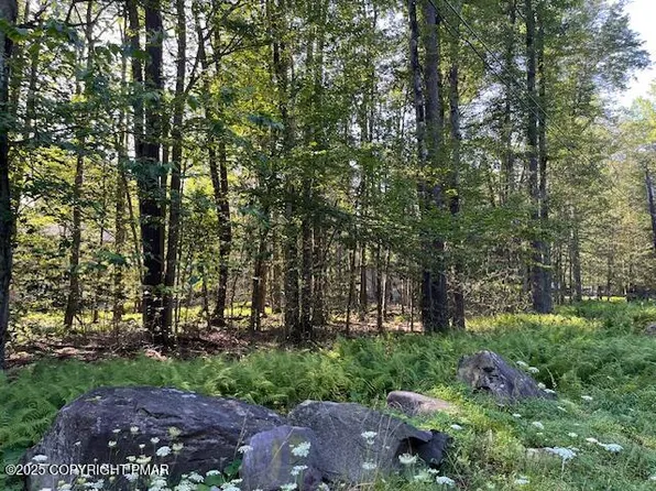 1175 Gross Dr, Pocono Pines, PA 18350