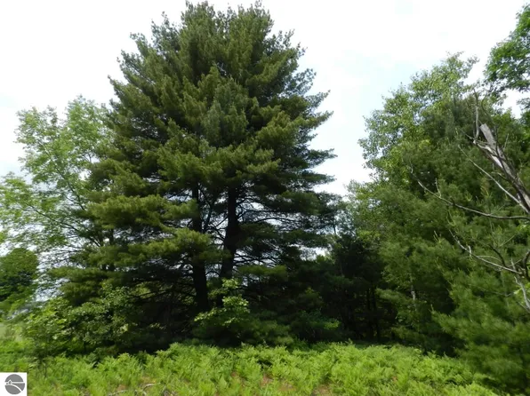 0 Riley Rd, Interlochen, MI 49643