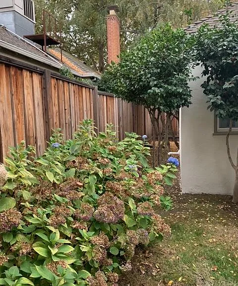 1701 10th Ave — Photo 32