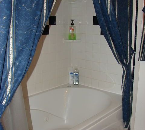 Jetted Tub in Upgraded Bath