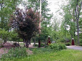 1st image of 25 Walden Way