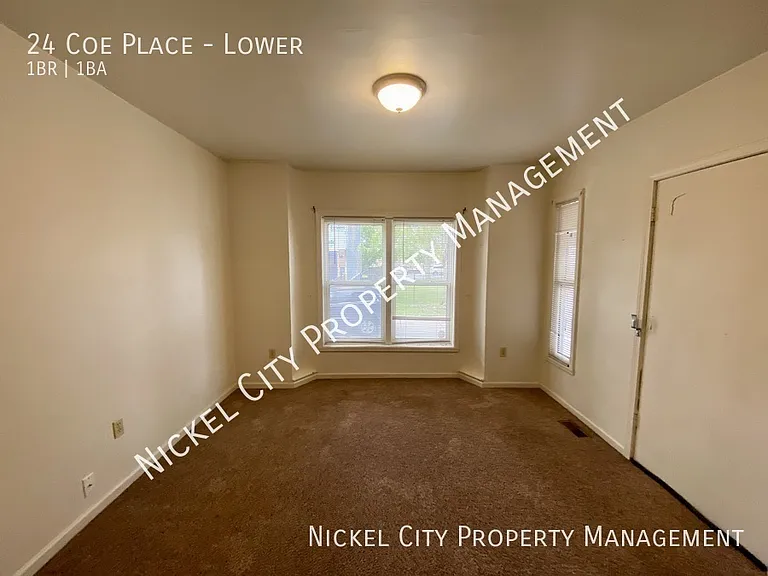 24 Coe Pl #LOWER — Photo 6