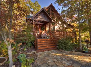 113 Dallas Ln, Blue Ridge, GA 30513