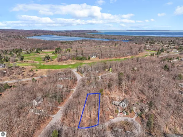 LOT 10 S Linden Ct, Cedar, MI 49621