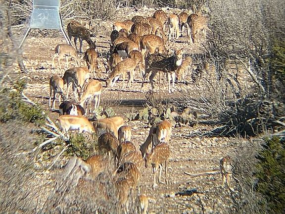 3rd image of 0 Sutton County Rd #317