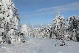 Best snowmaking in Northeast