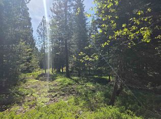 LOT 65 Old Mill Rd, McCloud, CA 96057