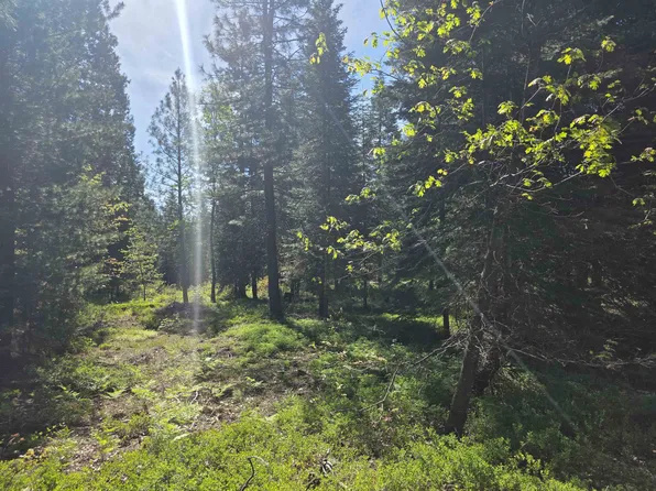LOT 65 Old Mill Rd, McCloud, CA 96057